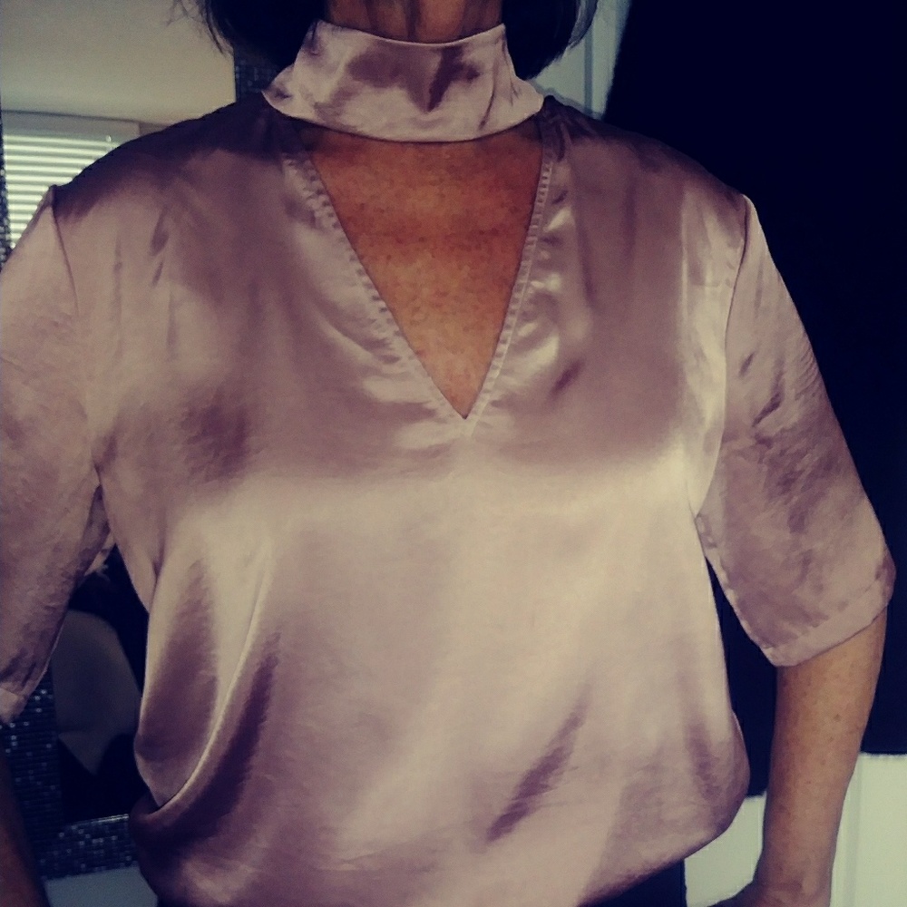 Blush Silk Theory Blouse